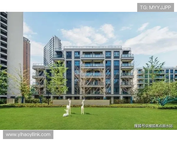 壹号国际官网：探索壹号国际提供的优质服务与客户支持体系